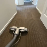 Carpet Cleaning