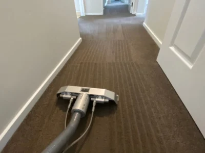 Carpet Cleaning