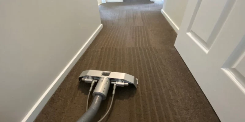 Carpet Cleaning